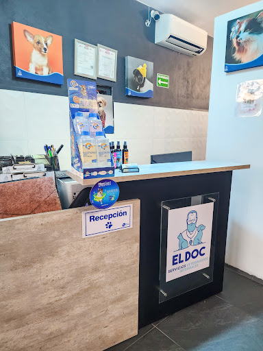 EL DOC | Servicios Veterinarios Integrales - Thumbnail