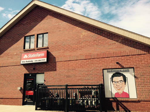 Mike Budinsky - State Farm Insurance Agent
