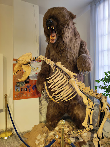 University Museum of Chieti - Thumbnail