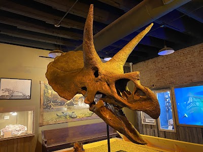 The Whiteside Museum of Natural History