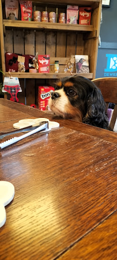 Dewkes Doggy Cafe Gallery - United Kingdom