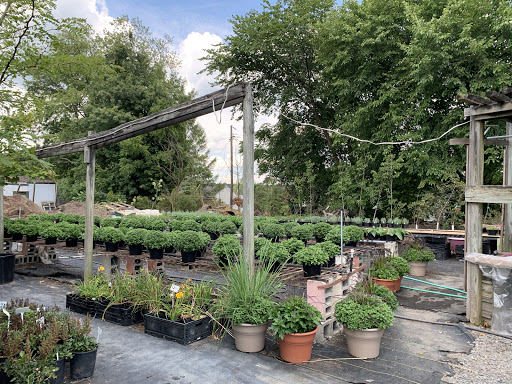 Cheese & Garden Shop - Thumbnail