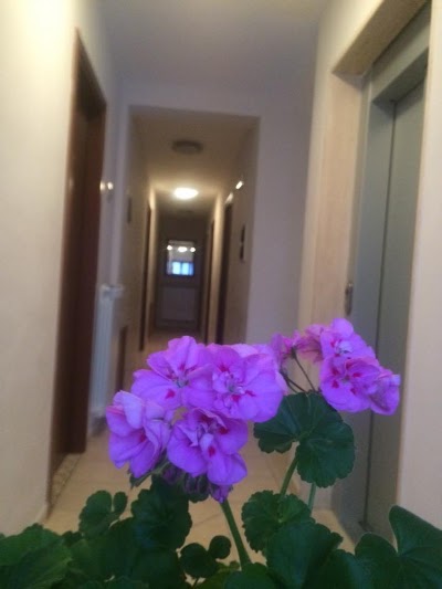 Photos of Hotel Cenzo