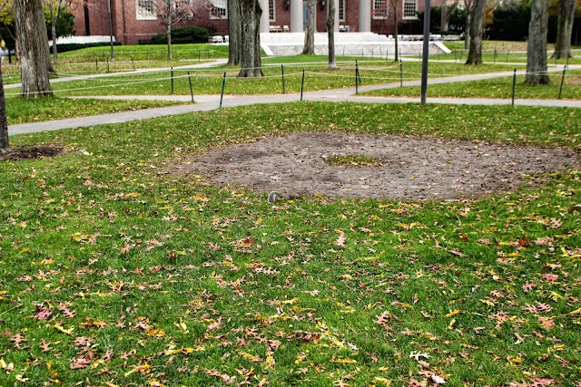 Harvard Yard
