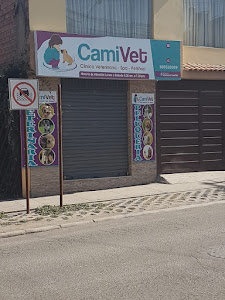 CAMIVET Clinica Veterinaria Spa 3