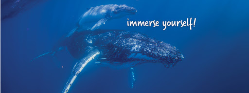 Sunreef Mooloolaba - Thumbnail