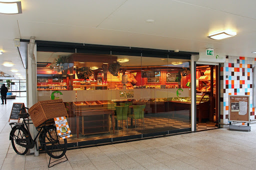 site_photo1