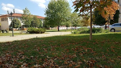 Dumlupınar University Faculty of Arts