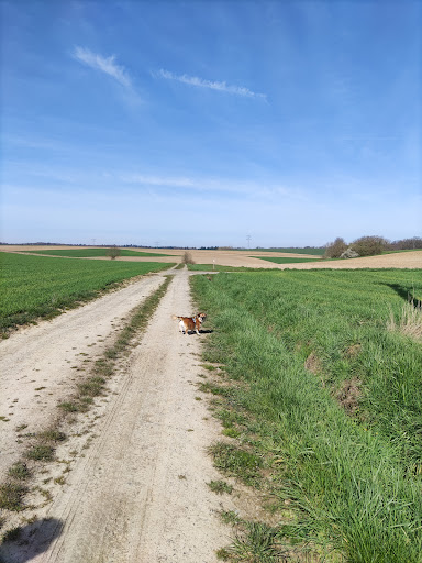 Wald-Wandergebiet Siegelbach