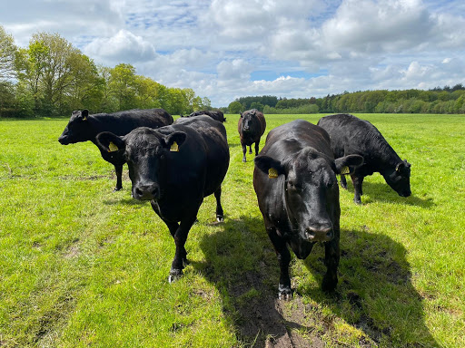 Landgoed Zorg & Natuur - Thumbnail