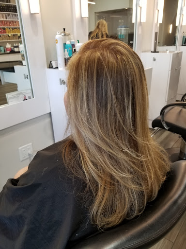 Kevin James Salon - Thumbnail