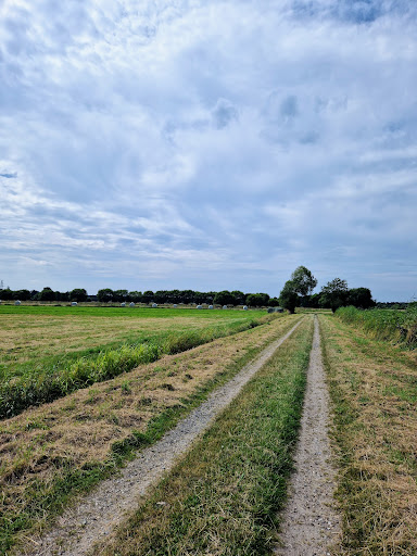 NSG Schnapbrokermoor - Thumbnail