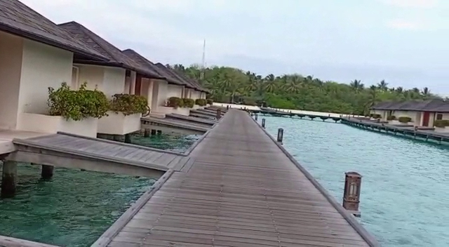 Maldives Oceanic Village by null