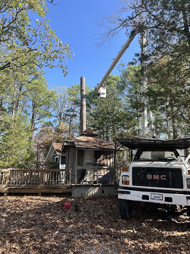 Lloyd’s Tree Service