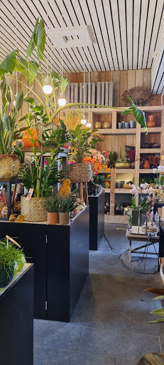 Bloemenboetiek Shop-Inn - Thumbnail