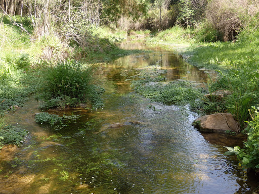 Sendero de Guadalora
