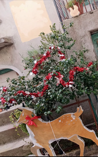 Museo Itinerante Arcalabria - Thumbnail