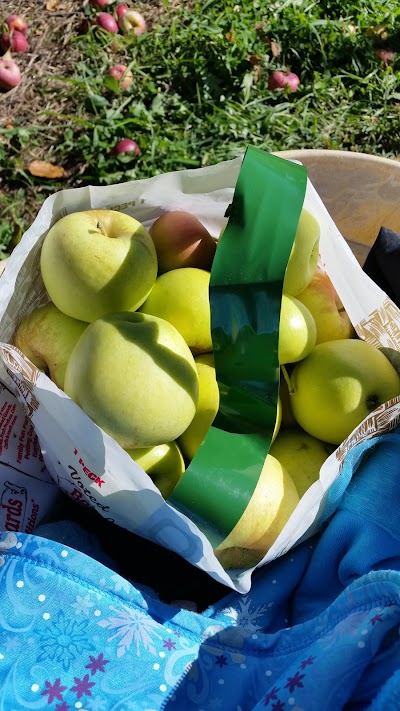 Photos of Barton Orchards - Store in LaGrange is Open - Farm in Poughquag is closed.