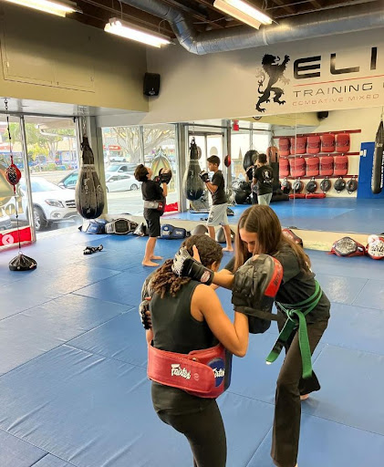 Elite Training Center - Thumbnail