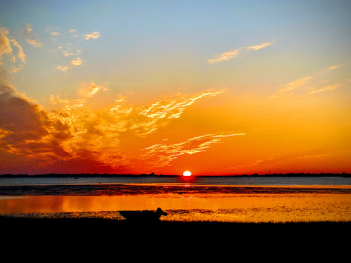 Joppa Park - Visual