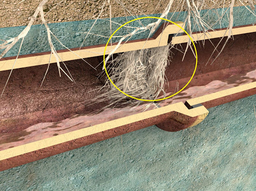 Plumbing Center Bonded Sewer Contractor - Thumbnail
