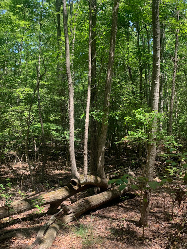Franklin Point State Park Gallery - United States