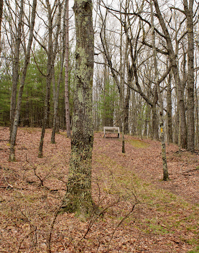 Houghton Land Preserve