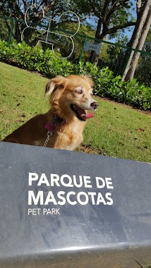 Dog Park, Author: Carlos Jiménez