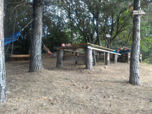 parco dell'orsetto - Thumbnail