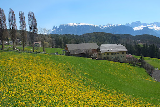 Oberbozen - Thumbnail