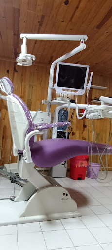 Luminous Dental Sucursal Guillermo Prieto - Thumbnail