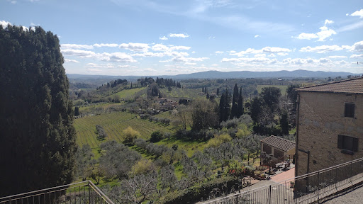 Firenzeshuttle - Visual