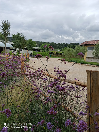 Agricampeggio Terra e Sogni
