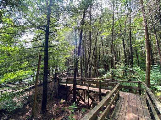 Crawford Lake Iroquoian Village - Thumbnail