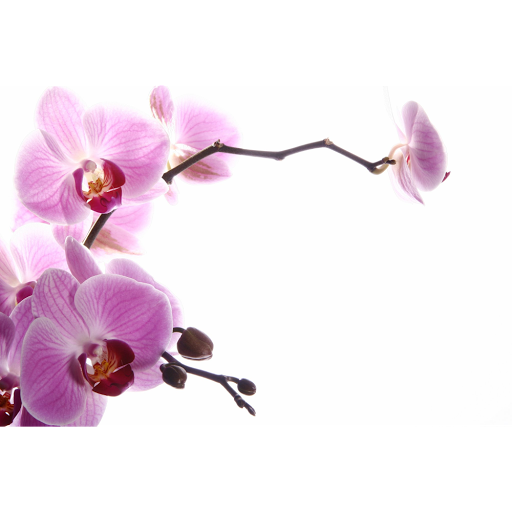 Sense of Balance Massage Therapy And Reflexology