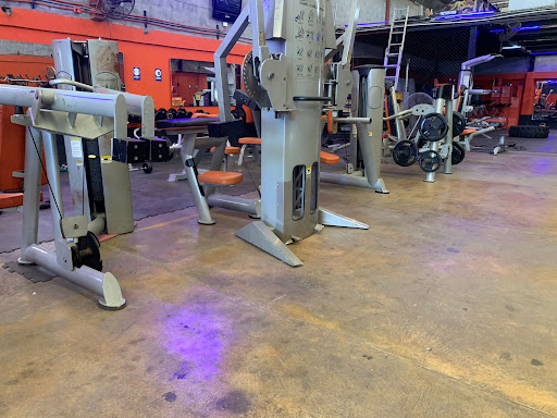 Mental fitness Gym Gallery - Mexico