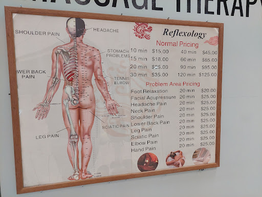 Reflexology Zone - Visual