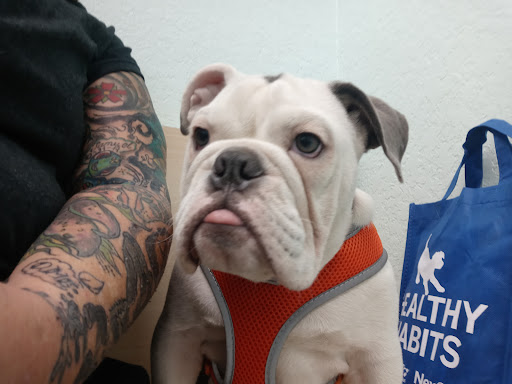 Collingswood Animal Hospital Gallery - United States