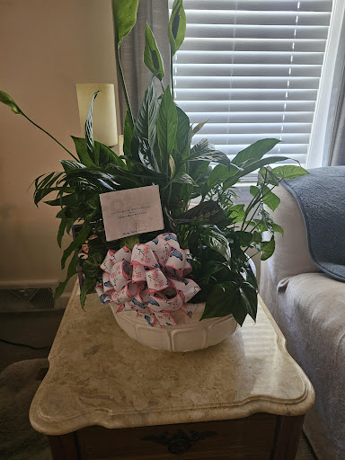 Motley Florist - Thumbnail