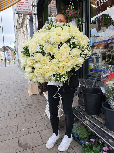 Blumen Sälzer Gallery - Germany