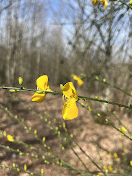 Photo n°14 de Guilloteau Sylvie - Naturopathe à Vertou (Coach particulier)