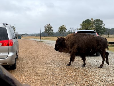 Tennessee Safari Park