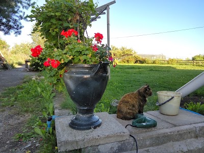 Photos of Agrousadba Meyana Farmhouse