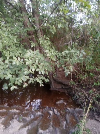 Livingston Manor of TX - Thumbnail