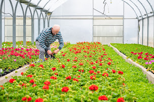 Photo n°18 de Fleurs Stempfler à Issenheim (Jardinerie)
