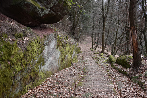 Plattenweg - Visual