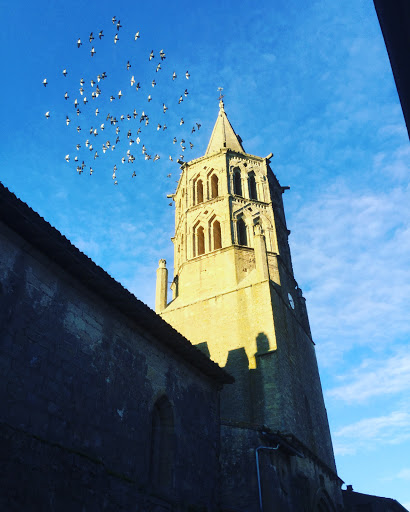 Photo de Gîte l'espeyronnis à Saint-Félix-Lauragais (31540)