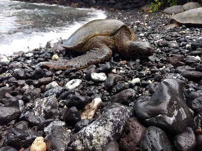 Makena Landing Park