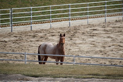 Idaho Youth Ranch Hands of Promise Campus