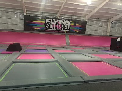 Photos of Fliying Squirrel
